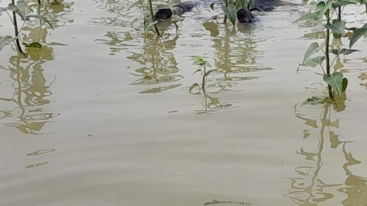 Breaking: गायब ट्रेनी एयरक्राफ्ट के ट्रेनी पायलट सुब्रोदीप दत्ता का शव चांडिल डैम से बरामद