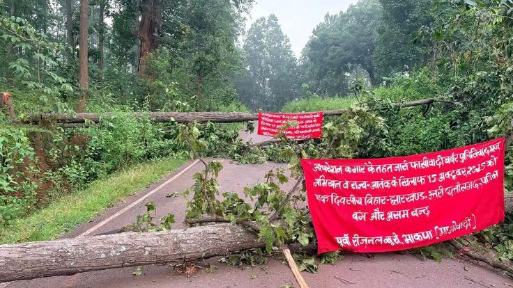सारंडा: पेड़ काटकर नक्सलियों ने किया सड़क जाम, कई गांव का शहर से टूटा संपर्क