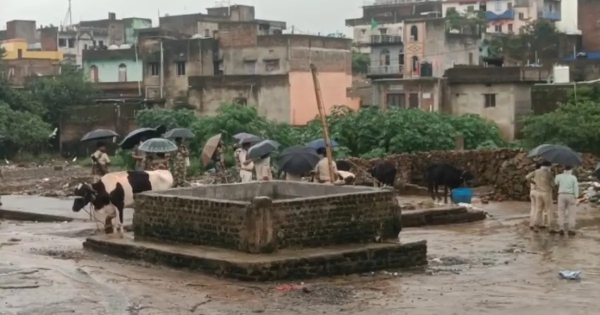 रांची में बड़ी कार्रवाई: भारी संख्या में गोवंश जब्त, 2 संदिग्ध हिरासत में