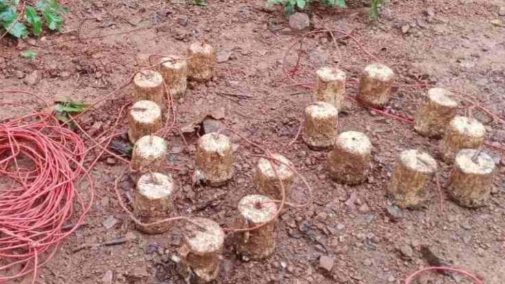 माओवादियों की IED ब्लास्ट की साजिश नाकाम, पश्चिम सिंहभूम-खूंटी बॉर्डर पर 18 बम बरामद